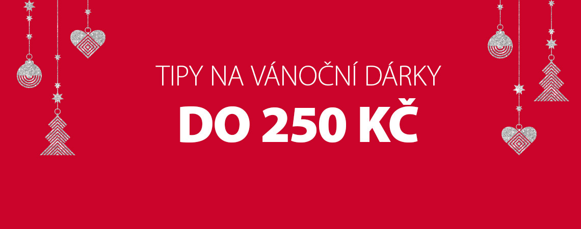 Tipy na vánoční dárky do 250 Kč