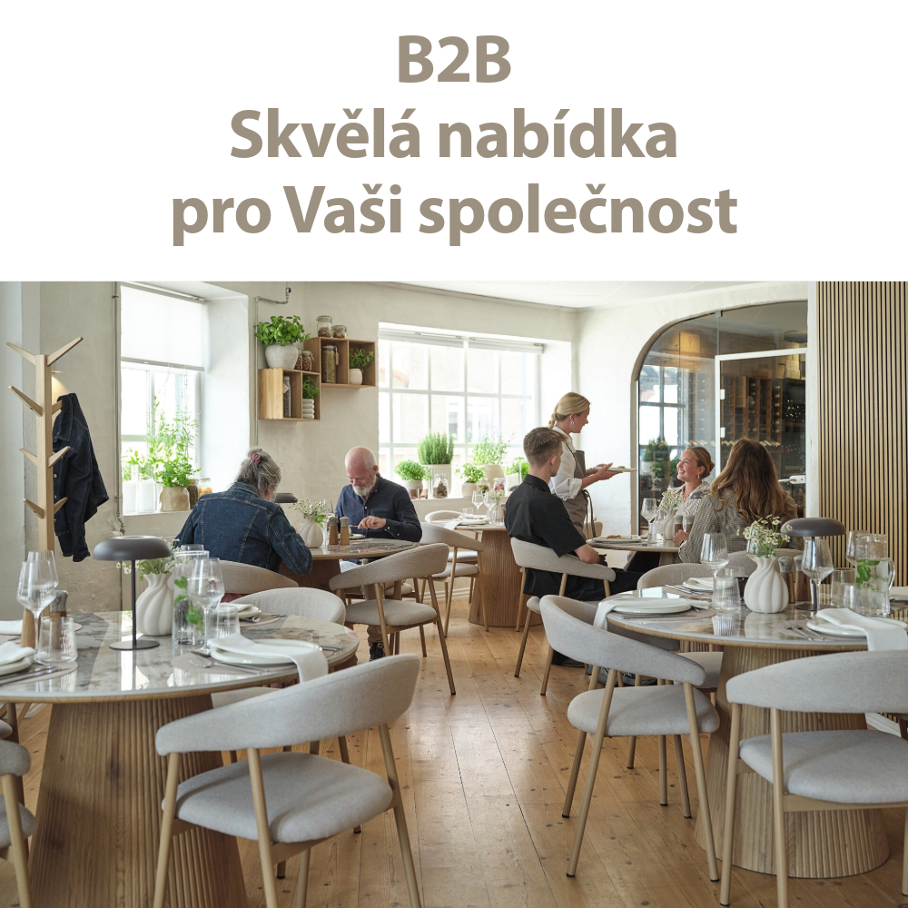 B2B Skvělá nabídka pro vaši společnost
